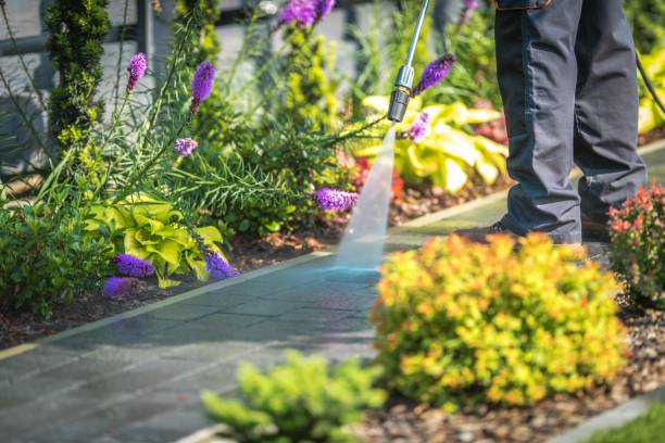 Trusted Jasper, AL Pressure Washing Services Experts
